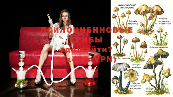 таблы Белокуриха
