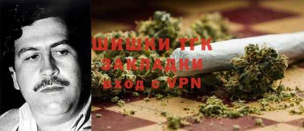 шишки Вяземский
