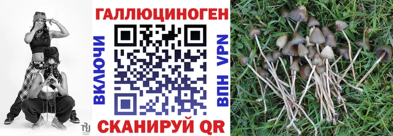 хочу   Светогорск  Галлюциногенные грибы MAGIC MUSHROOMS 