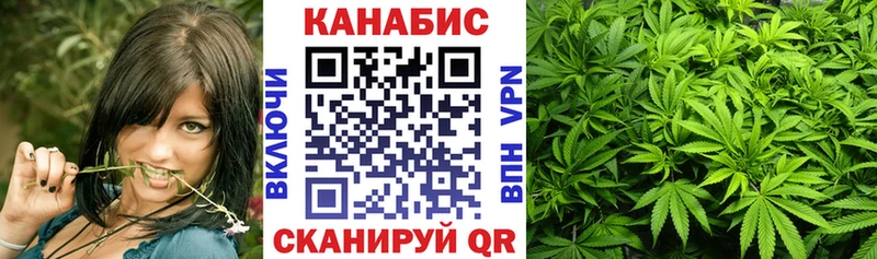 Бошки Шишки планчик  площадка официальный сайт  Светогорск 